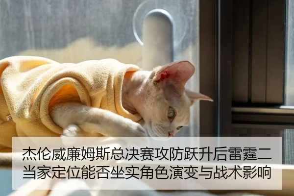 杰伦威廉姆斯总决赛攻防跃升后雷霆二当家定位能否坐实角色演变与战术影响